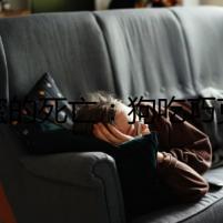 甜蜜的死亡：狗吃巧克力的隱秘陰謀