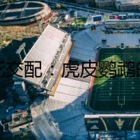 生死交配：虎皮鸚鵡的愛(ài)情疑案