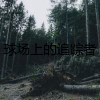 球場上的追蹤者