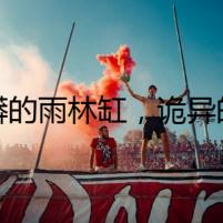 球蟒的雨林缸，詭異的雇主