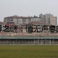 球蟒之謎：悄無聲息的殺手