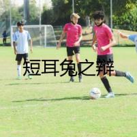 短耳兔之辯