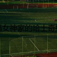 直播女神家的哈士奇如何震懾了整個網(wǎng)絡(luò)