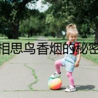 相思鳥香煙的秘密