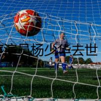 相聲演員楊少華去世，曾登上春晚