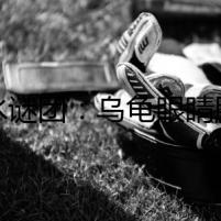 鹽水謎團(tuán)：烏龜眼睛腫了，背后隱藏著什么？