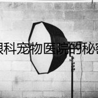 眼科寵物醫(yī)院的秘密