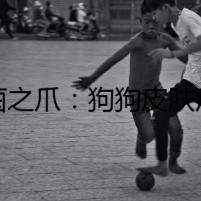 真菌之爪：狗狗皮膚病下的秘密