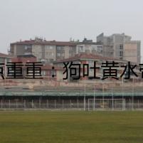疑點重重：狗吐黃水帶泡沫的背后