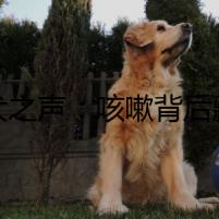 疑犬之聲：咳嗽背后藏殺機(jī)