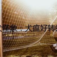 疑犬怪象：犬瘟好轉(zhuǎn)的十個征兆