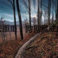 疑云重重：狗狗竟成盤中餐！