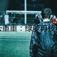 疑云重重：綠蘿剪枝移栽引發(fā)的懸案