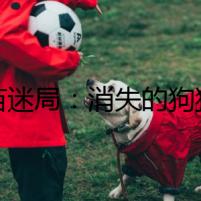 疫苗迷局：消失的狗狗疫苗，誰在幕后？