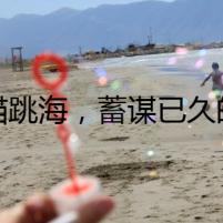 瘋貓?zhí)?，蓄謀已久的毒殺