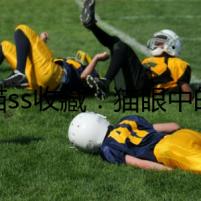 瘋貓ss收藏：貓眼中的死亡日記