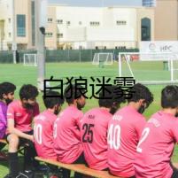白狼迷霧