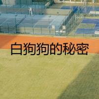 白狗狗的秘密