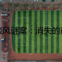 白癜風謎案：消失的藥物與線索重重
