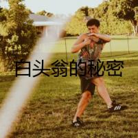 白頭翁的秘密