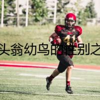 白頭翁幼鳥的性別之謎