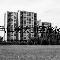 白色博美犬的致命微笑