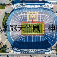 白色鳳冠天竺鼠：神秘的關(guān)押