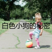 白色小狗的秘密