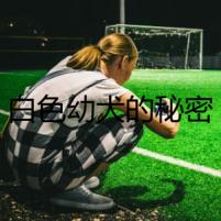 白色幼犬的秘密