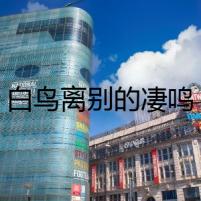 白鳥離別的凄鳴