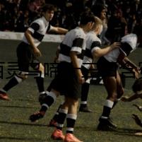 百靈鳥啼十三口含冤