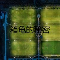 箱龜?shù)拿孛?></a><h4 class=