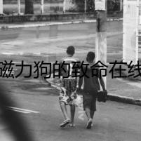 磁力狗的致命在線