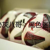 神秘灰八哥：黑色迷霧中的異鳥