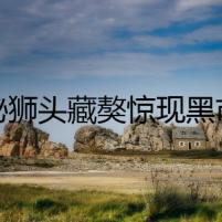 神秘獅頭藏獒驚現(xiàn)黑市拍賣會