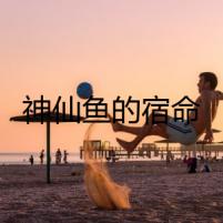 神仙魚的宿命