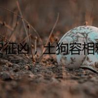 竊皮征兇，土狗容相釋玄機(jī)