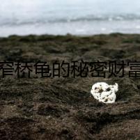 窄橋龜?shù)拿孛茇?cái)富