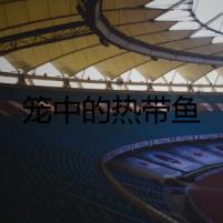 籠中的熱帶魚(yú)
