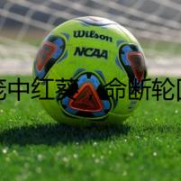 籠中紅葵，命斷輪回
