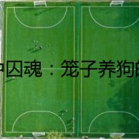 籠中囚魂：籠子養(yǎng)狗的正確打開方式