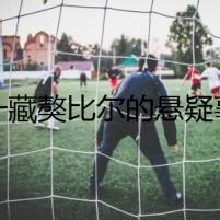 第一藏獒比爾的懸疑事件：死亡之謎