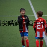 福鱷尖嘴鱷，強(qiáng)手斗智斗勇