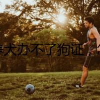 禁養(yǎng)犬辦不了狗證，怎么辦？