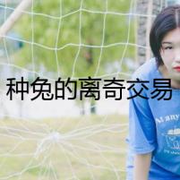 種兔的離奇交易