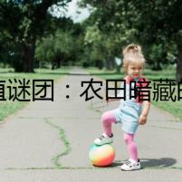 種植謎團：農(nóng)田暗藏的不法交易