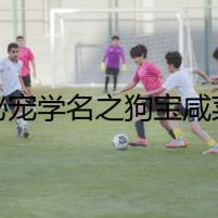 秘寵學(xué)名之狗寶咸菜