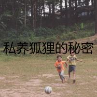 私養(yǎng)狐貍的秘密