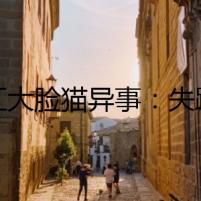 網(wǎng)紅大臉貓異事：失蹤貓案內(nèi)