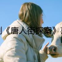網(wǎng)劇《唐人街探案》喜迎殺青 陳思誠付出良多
